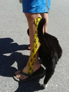 Even the Swiss locals love Rocktape